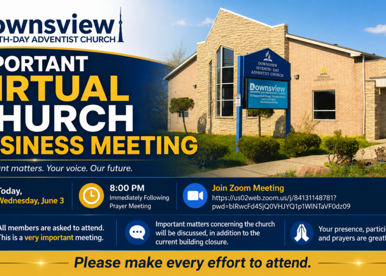 Virtual Business Meeting